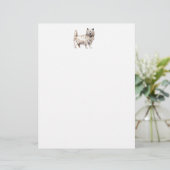 Cairn Terrier (Standing Front)