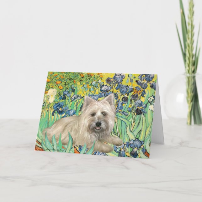 Cairn Terrier 4 - Irises Card (Front)