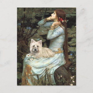 Cairn Terrier 4 - Ophelia Seated Postcard