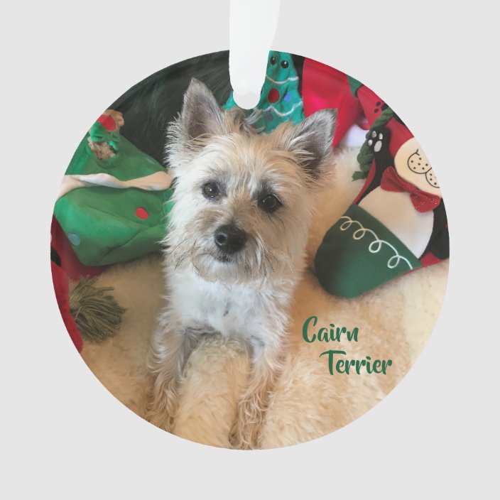 cairn terrier garden ornament