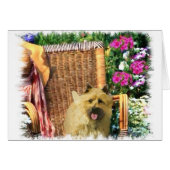 Cairn Terrier Art Gifts (Front Horizontal)
