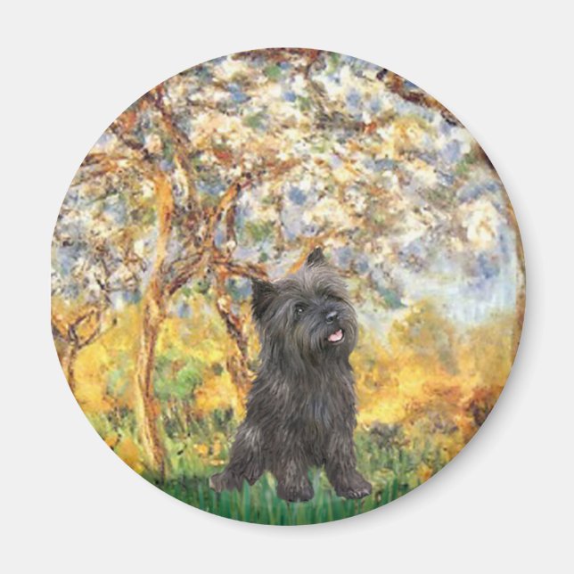 Cairn Terrier (Brindle 21) - Spring Magnet (Front)