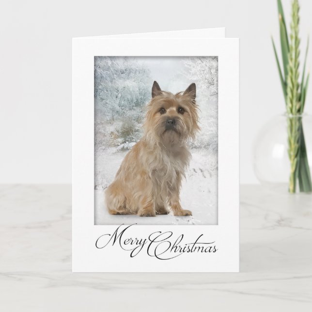 Cairn Terrier Christmas Card (Front)