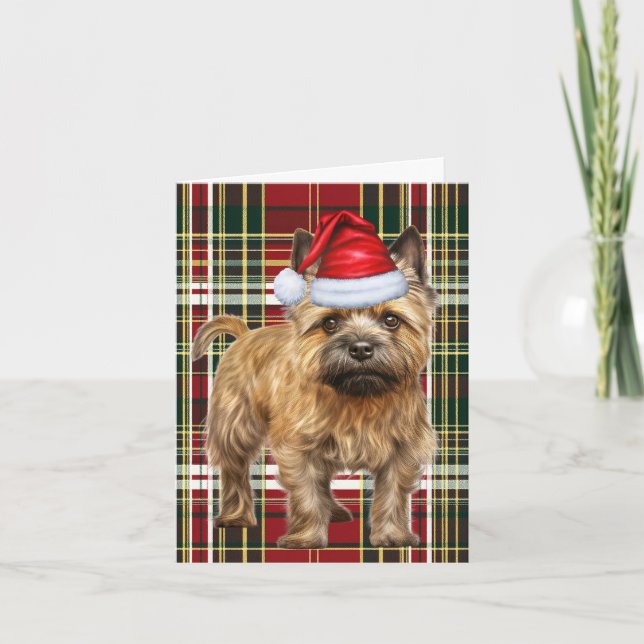 Cairn Terrier Christmas Dog Plaid Christmas Holiday Card (Front)