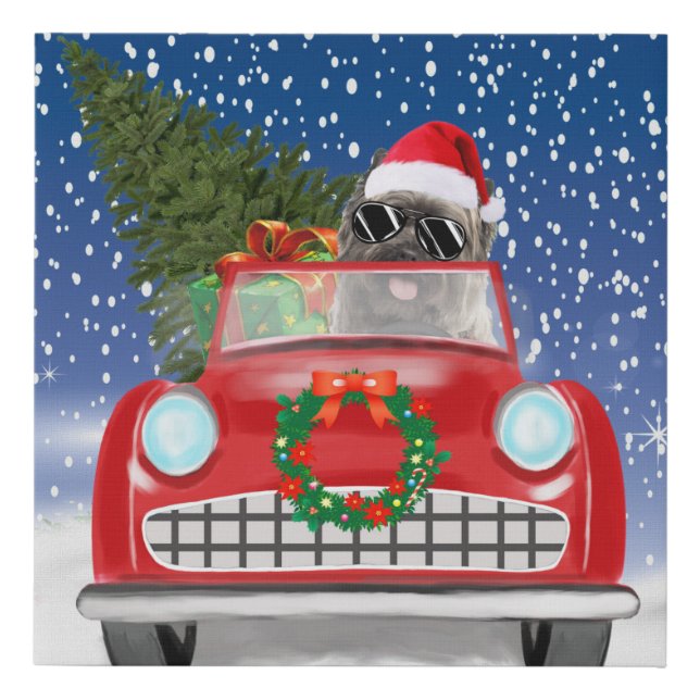 Cairn Terrier Dog Driving Car In Snow Christmas  Faux Canvas Print (Front)
