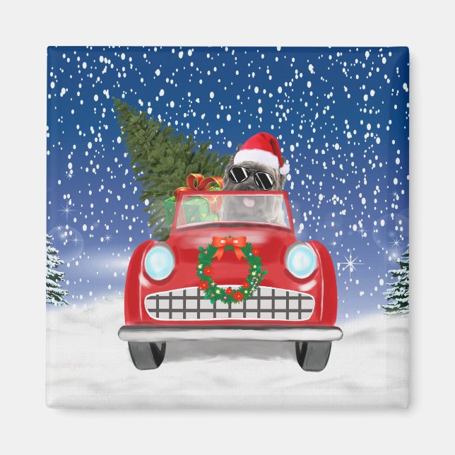 Cairn Terrier Dog Driving Car In Snow Christmas Magnet (Front)