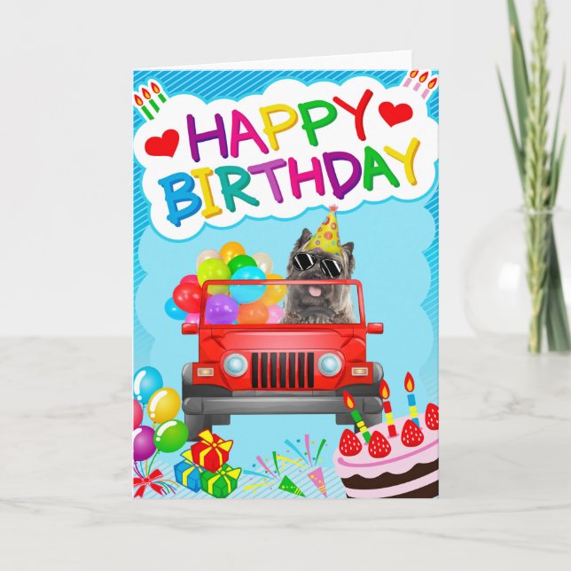 Cairn Terrier Dog Driving with Balloons Card (Front)