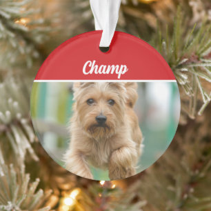 Cairn Terrier Dog Holiday Photo Christmas Ornament