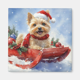 Cairn Terrier Dog in Sledge Let it Snow Christmas Magnet
