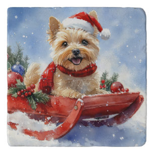 Cairn Terrier Dog in Sledge Let it Snow Christmas Trivet
