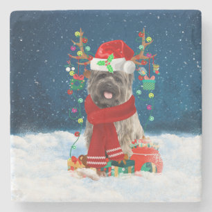 Cairn Terrier Dog in Snow with Christmas Gifts Stone Coaster