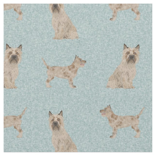 cairn terrier dog light blue fabric (Close Up)
