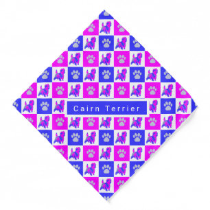 Cairn Terrier Dog & Paw Hot Pink and Blue Bandana