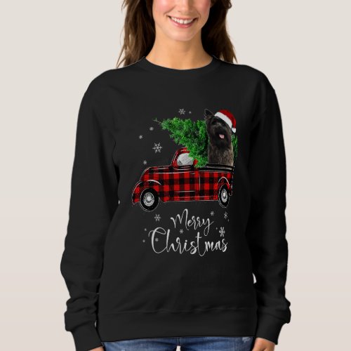 Cairn Terrier Dog Ride Red Truck Christmas Funny D Sweatshirt