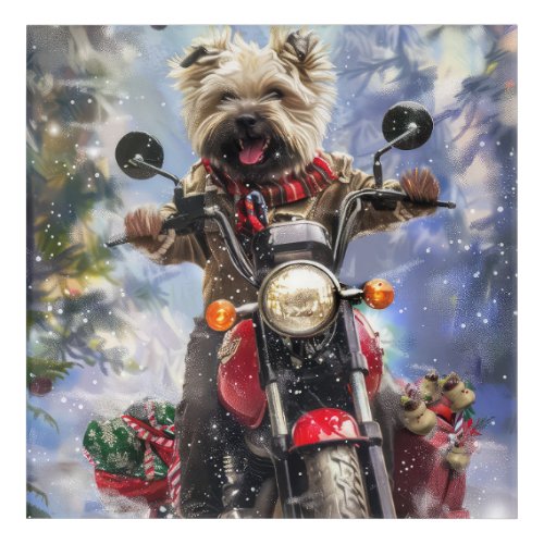Cairn Terrier Dog Riding Motorcycle Christmas Acrylic Print