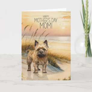 Cairn Terrier Dog Sunset Beach Mother's Day Holiday Card