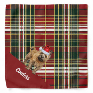 Cairn Terrier Dog with Red and Green Holiday Plaid Bandana