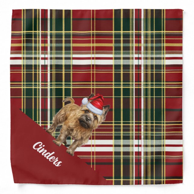 Cairn Terrier Dog with Red and Green Holiday Plaid Bandana (Front)