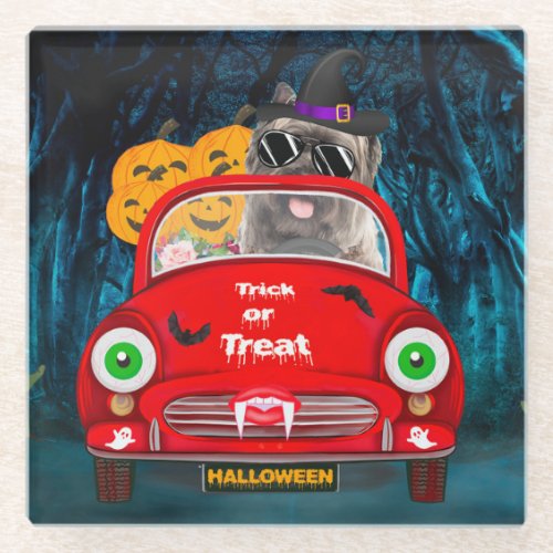 Cairn Terrier Driving Car Scary Halloween  Glass Coaster