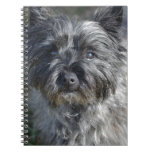 Cairn Terrier Face Notebook