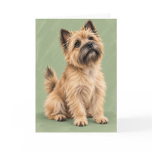 Cairn Terrier Greeting Card