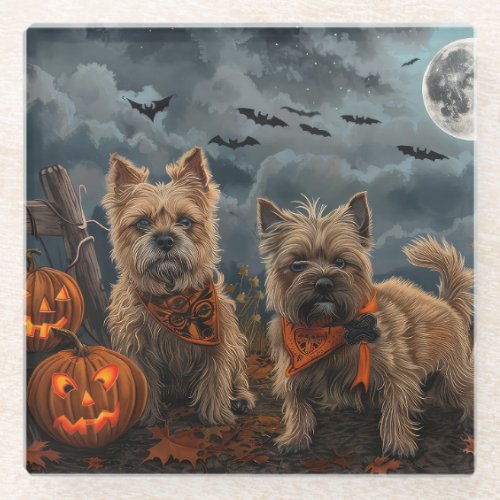 Cairn Terrier Halloween Spooky Glass Coaster