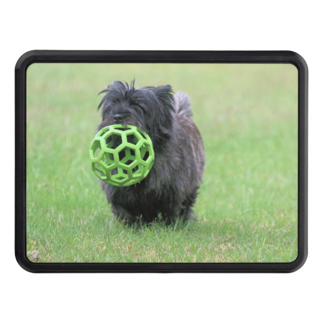 Cairn terrier     hitch cover (Front)