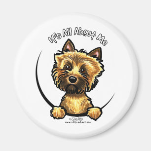 Cairn Terrier Its All About Me Magnet