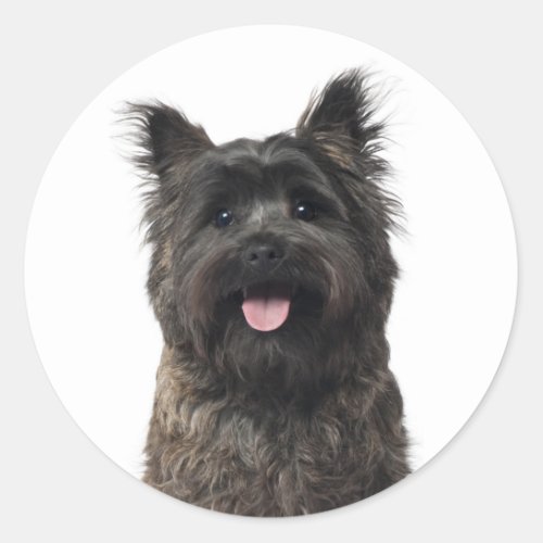 Cairn Terrier Love Puppy Dog Mom Fur Mama Canine Classic Round Sticker
