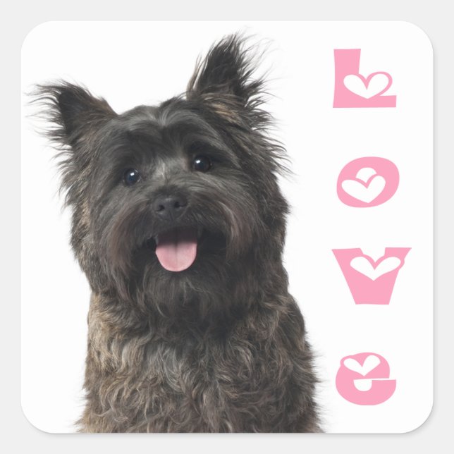 Cairn Terrier Love Puppy Dog Mom Fur Mama Canine Square Sticker (Front)