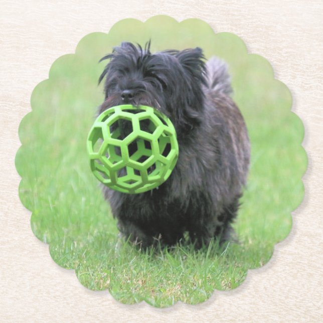 Cairn terrier  paper coaster (Front)