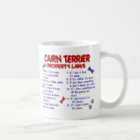CAIRN TERRIER PL2