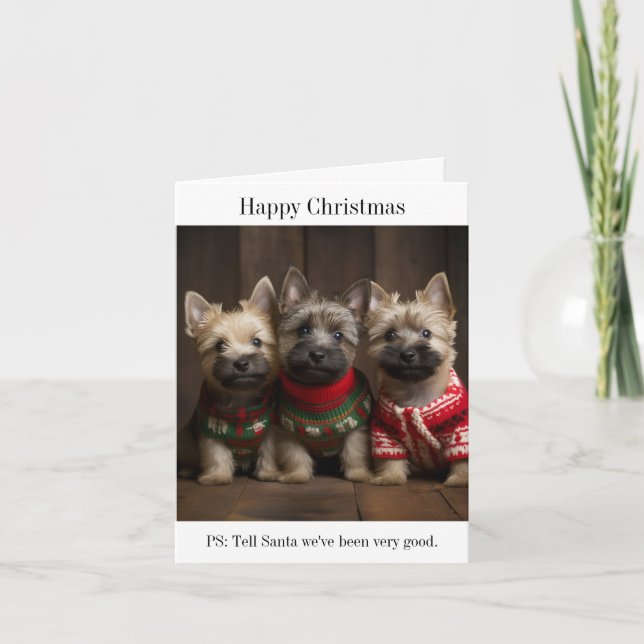 Cairn Terrier Puppies Christmas Card (Front)