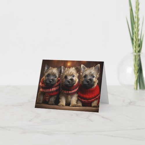 Cairn Terrier Puppies Christmas Card