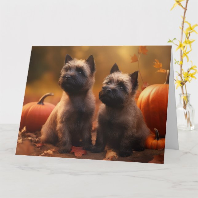 Cairn Terrier Puppy Autumn Delight Pumpkin  Card (Yellow Flower)