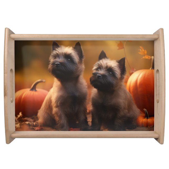 Cairn Terrier Puppy Autumn Delight Pumpkin  Serving Tray (Front)