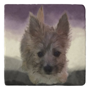Cairn Terrier Puppy Dog Purple Marble Stone Trivet