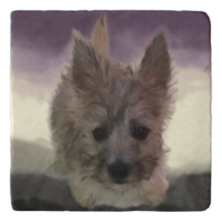 Cairn Terrier Puppy Dog Purple Marble Stone Trivet