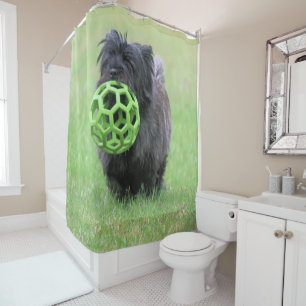 Cairn terrier shower curtain