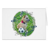 Cairn Terrier Soccer (Front Horizontal)