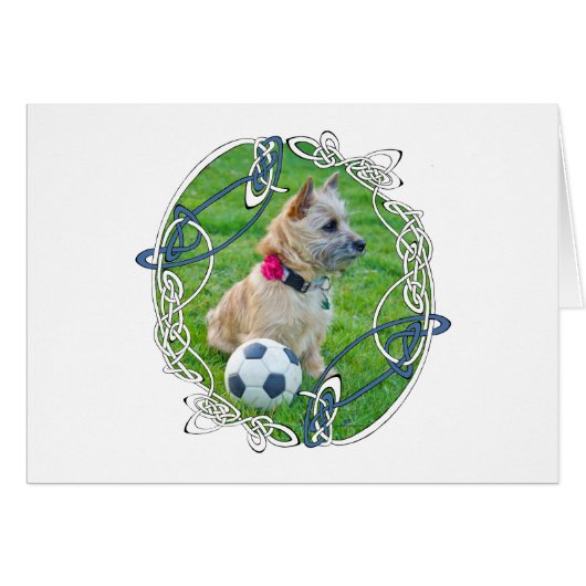 Cairn Terrier Soccer (Front Horizontal)