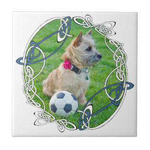 Cairn Terrier Soccer Ceramic Tile