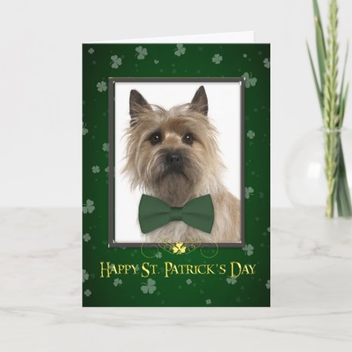 Cairn Terrier St Patricks Day Card