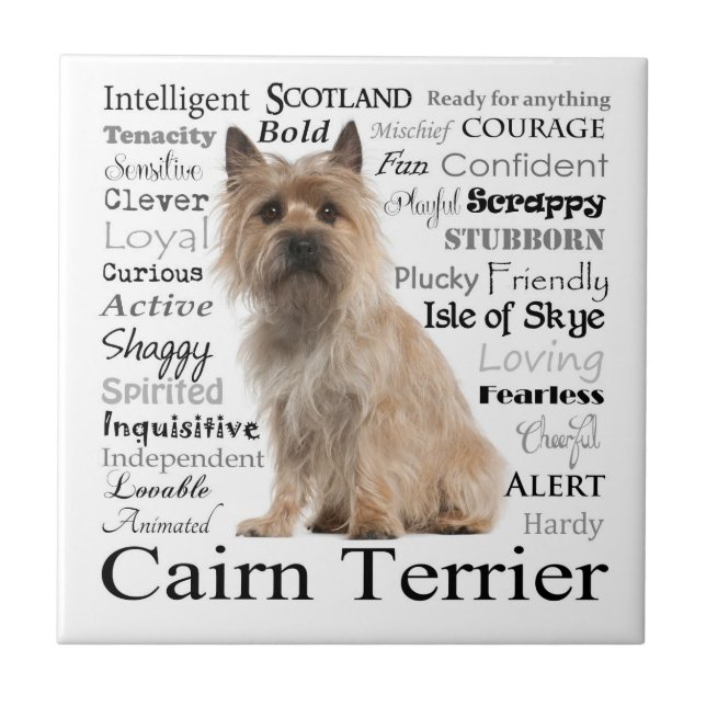 Cairn Terrier Traits Tile (Front)