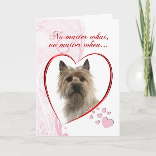 Cairn Terrier Valentine Holiday Card