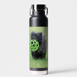 Cairn terrier water bottle