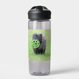 Cairn terrier water bottle