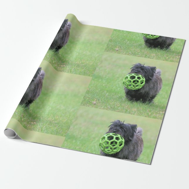 Cairn terrier  wrapping paper (Unrolled)