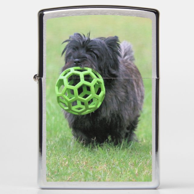 Cairn terrier  zippo lighter (Front)