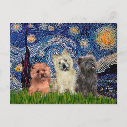 Cairn Terriers three _ Starry Night Postcard